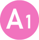 A1