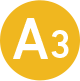 A3