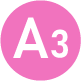 A3